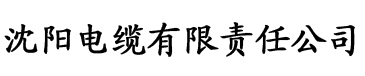 草莓视频污污在线电缆厂logo